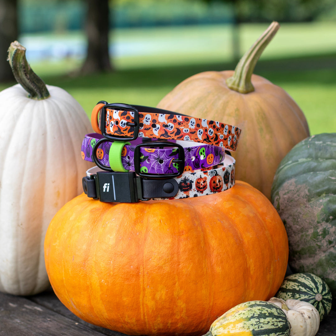 Halloween Fi Compatible 3/3+ UV-Printed BioThane® Classic Buckle Collar