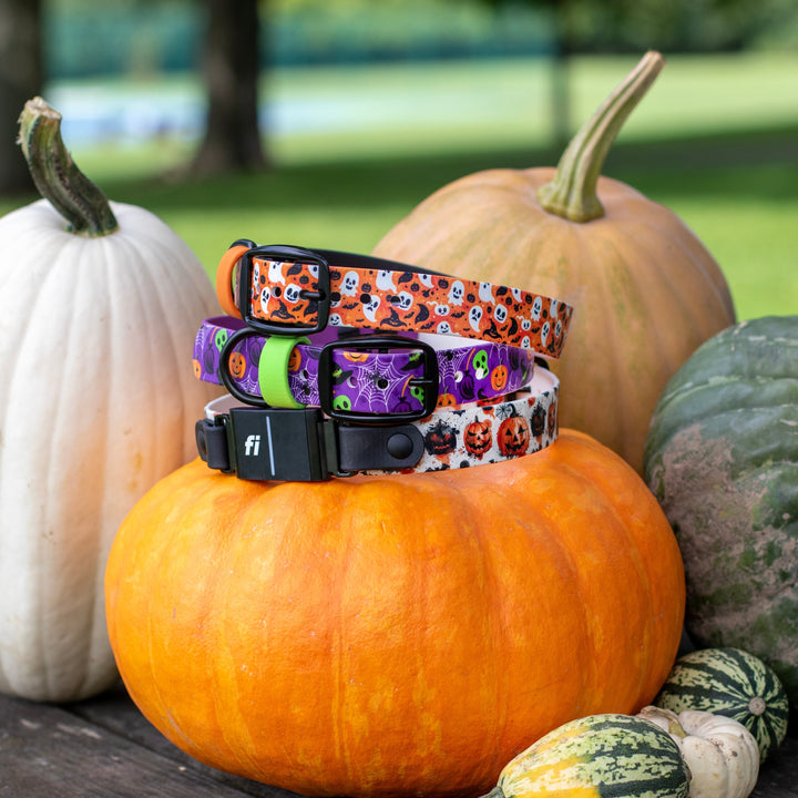 Halloween Fi Compatible 3/3+ UV-Printed BioThane® Classic Buckle Collar