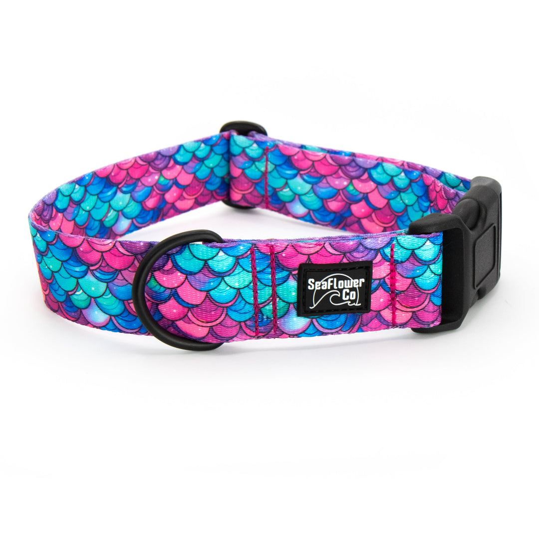 Dog collar with mermaid scale pattern on a white background