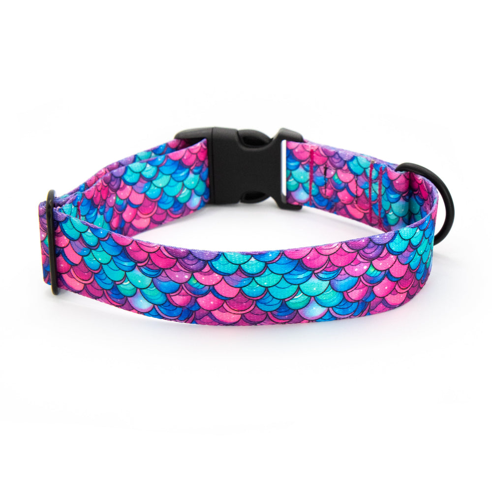 Dog collar with mermaid scale pattern on a white background