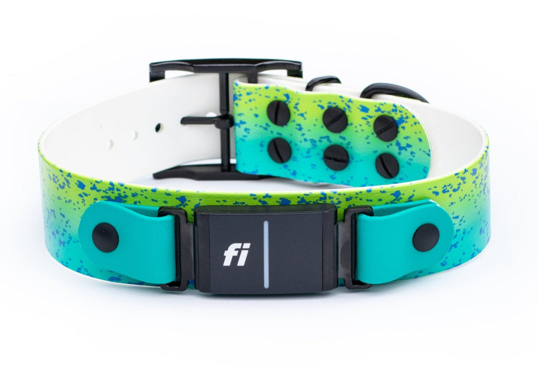 Fi Compatible 3/3+ 1.5" Patterned BioThane Collar | SeaFlower Co