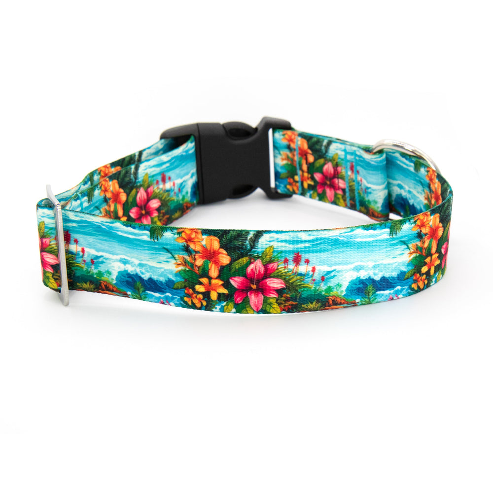 Dog collar with a tropical floral design on a white background