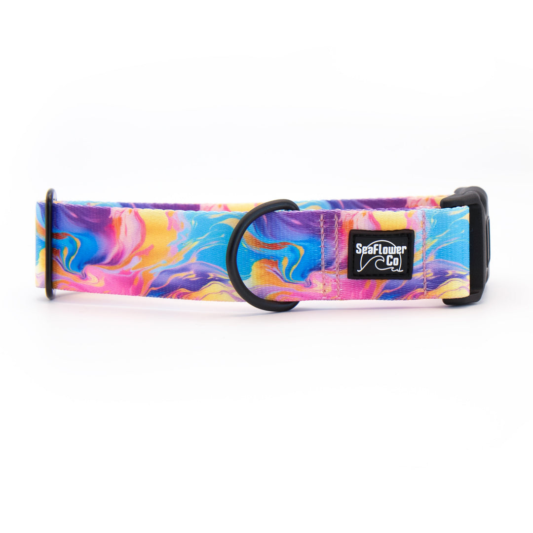 Colorful dog collar with a brand logo on a white background