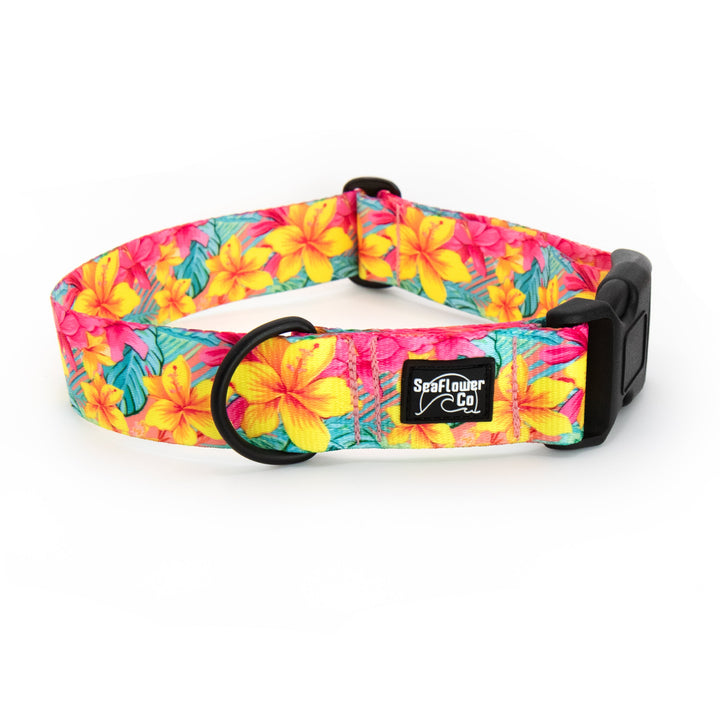 Colorful floral dog collar with a brand label on a white background