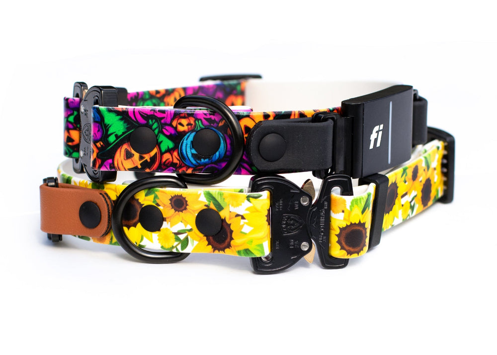 Fi Compatible Series 3/3+ Halloween Biothane Collars
