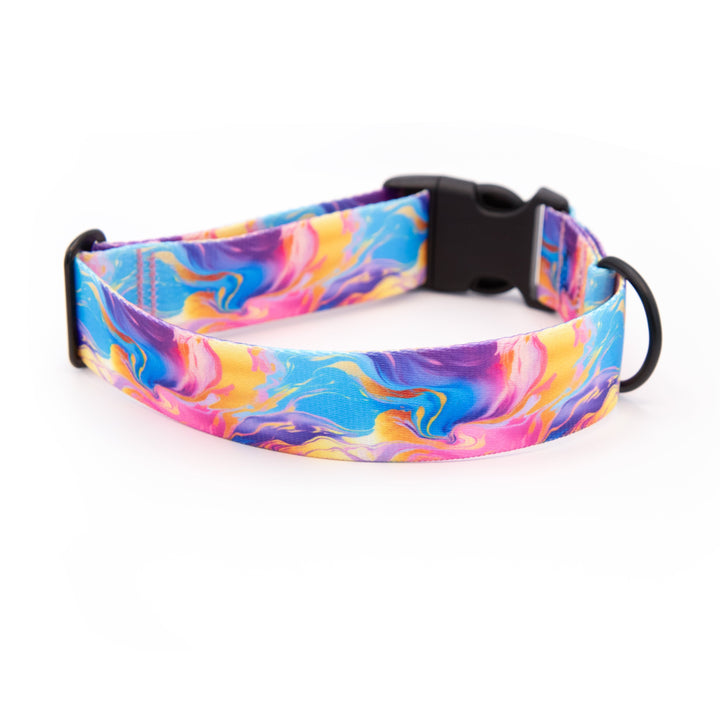 Colorful marbled patterned dog collar on a white background