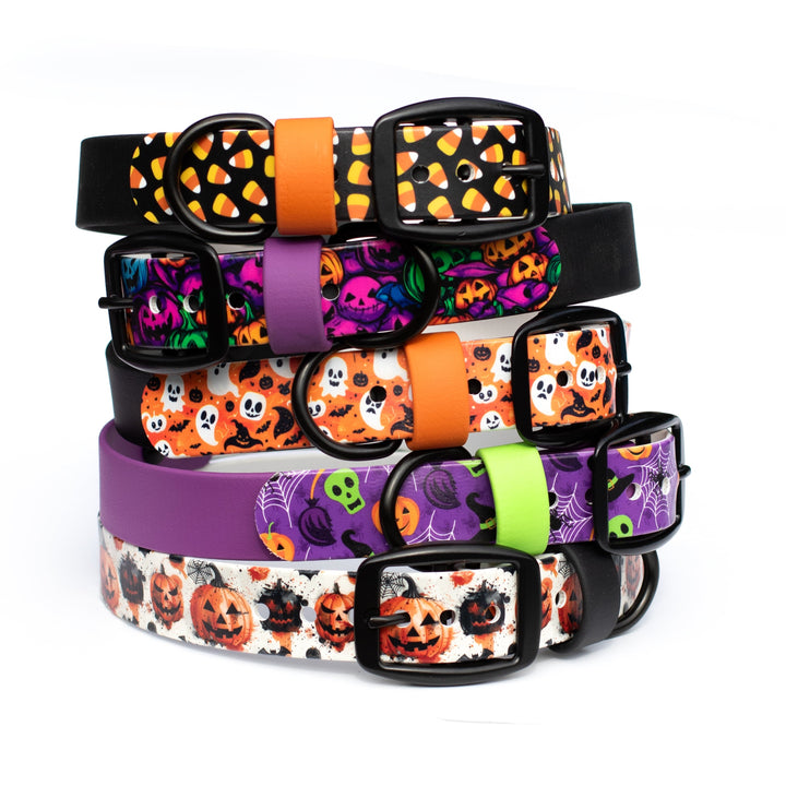 Halloween BioThane® Dog Collar | Spooky Season Dog Accessories