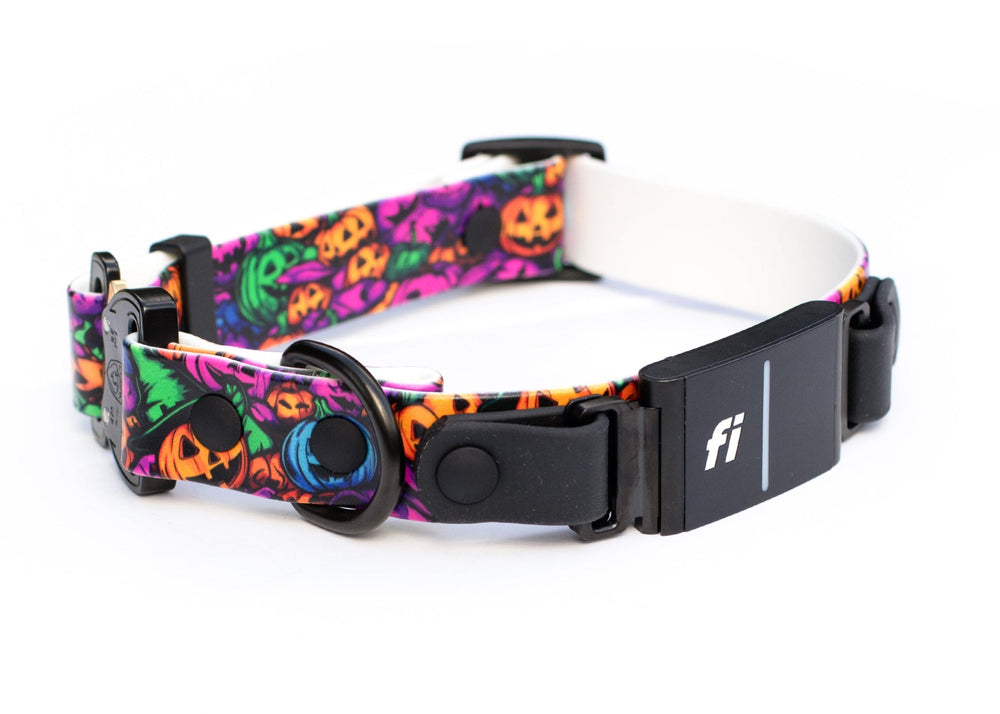 Halloween Fi Compatible Series 3/3+ Collar With Quick Release Buckle