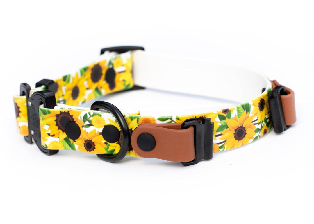 Fi Compatible Sereies 3/3+ BioThane Collar