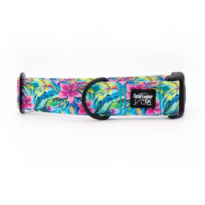 Colorful floral-patterned dog collar with a brand logo on a white background