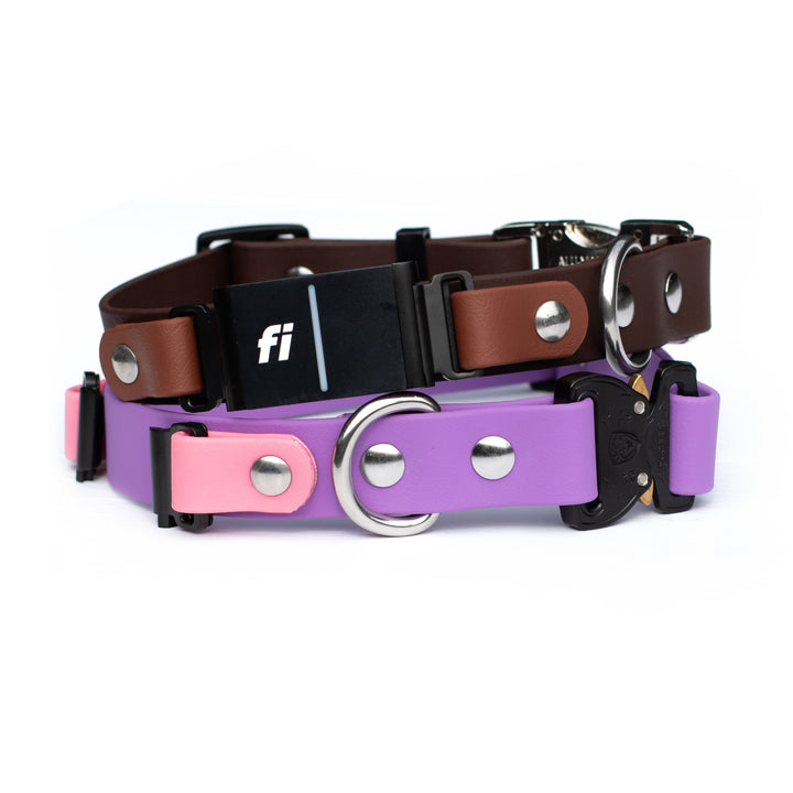 Fi Compatible 3/3+ BioThane® Dog Collar With Quick Release Buckle