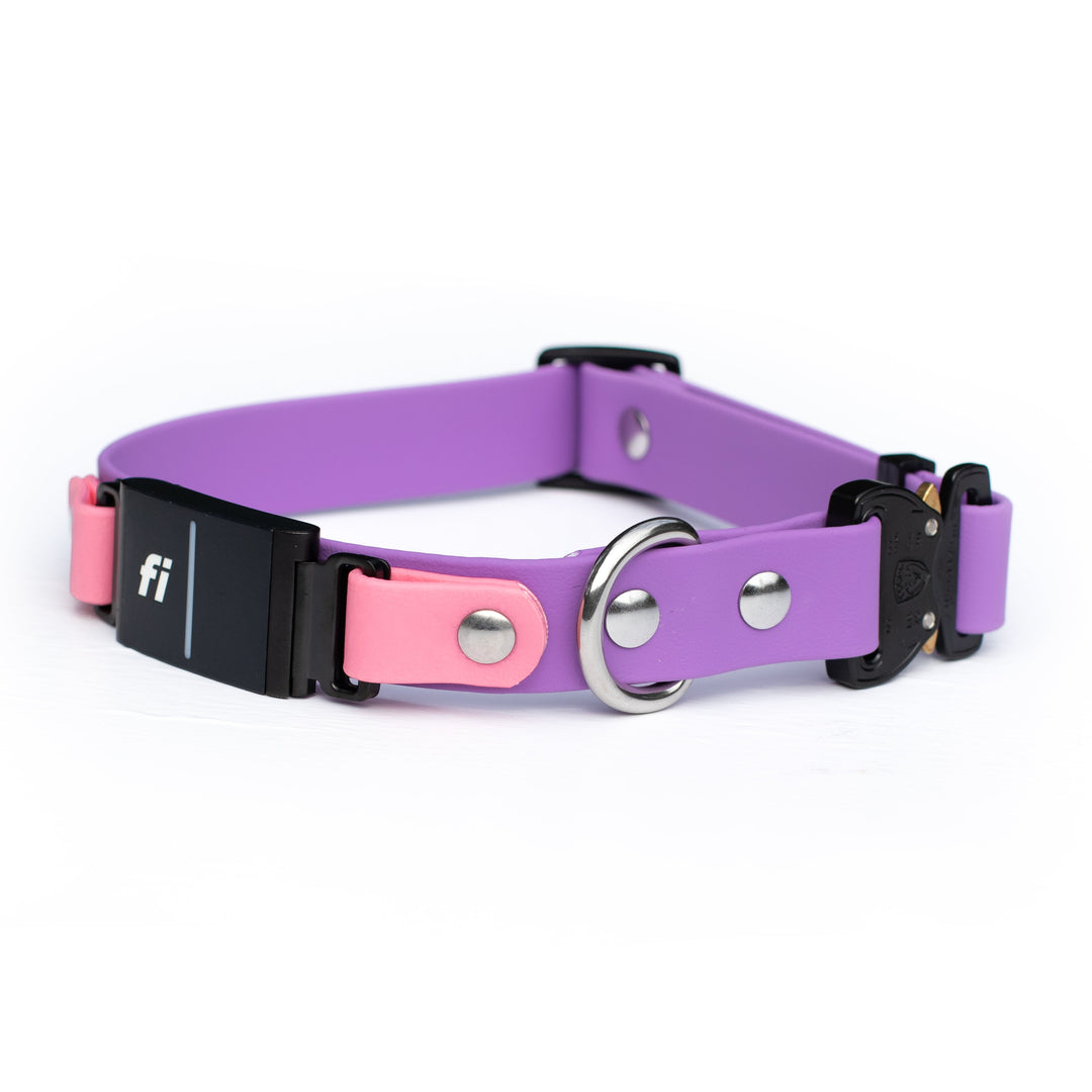 Fi Compatible 3/3+ BioThane® Dog Collar With Quick Release Buckle