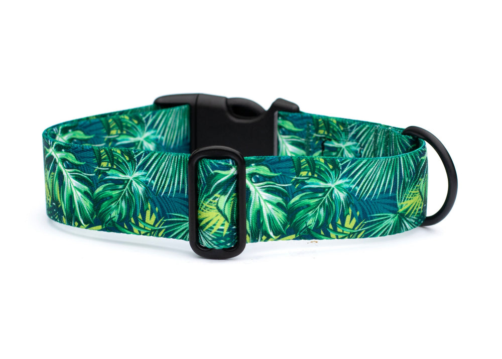 Dog collar with tropical leaf pattern on a white background