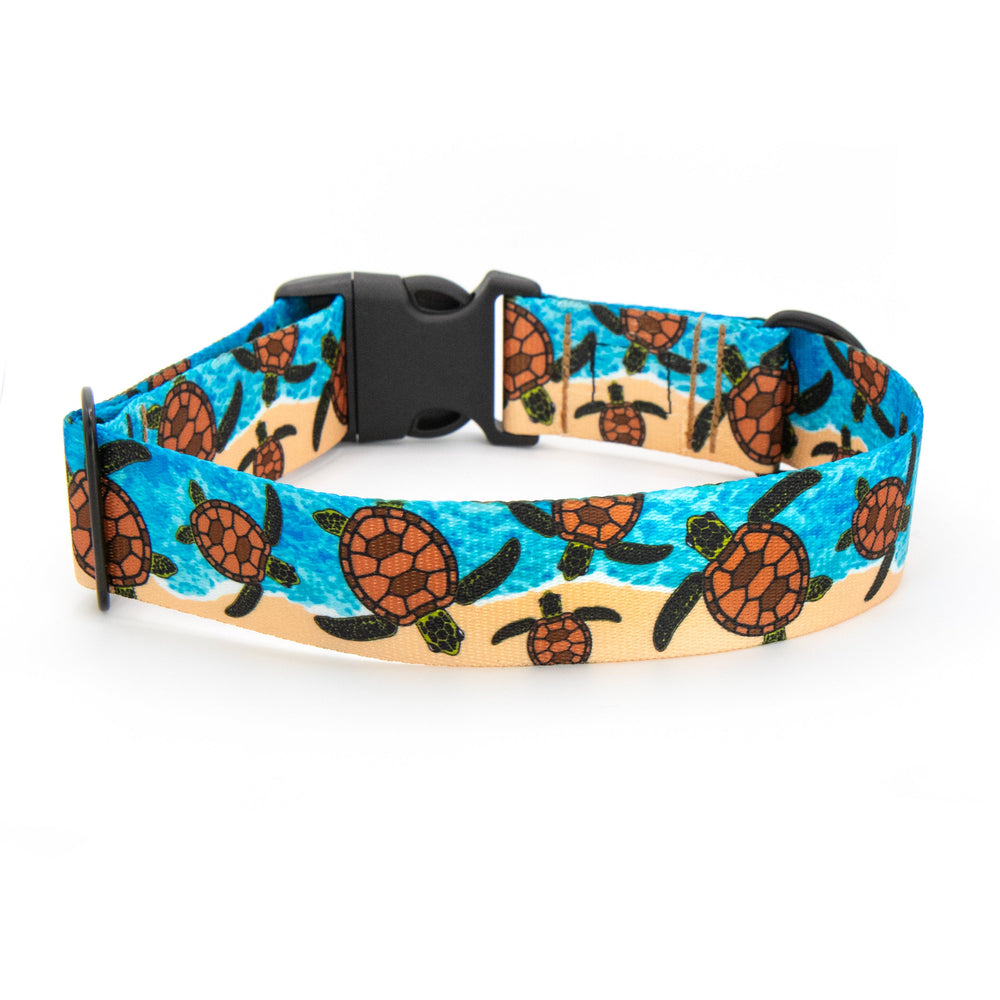Dog collar with turtle pattern on a blue background