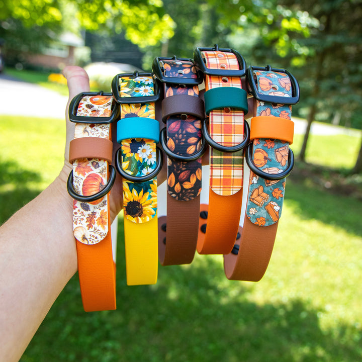 A hand holds up six colorful dog collars with autumn-themed patterns like pumpkins, leaves, and plaid, set against a blurred green lawn and trees.