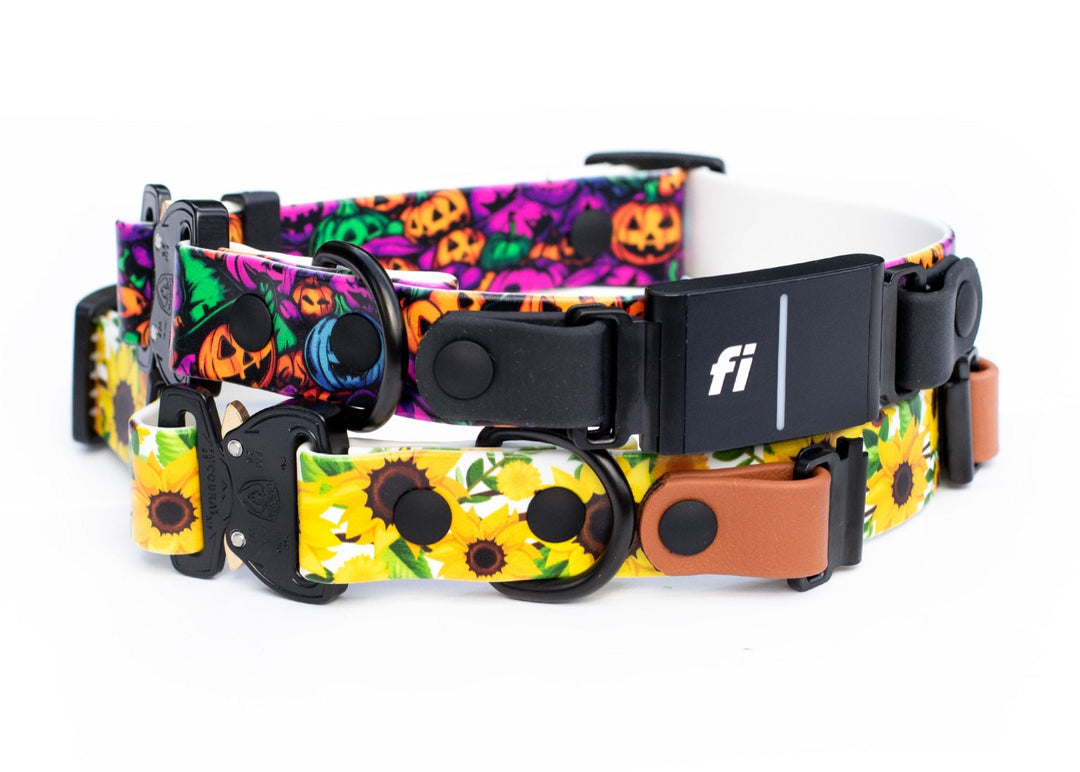 Fi Compatible 3/3+ collars with Halloween and sunflower designs on a white background