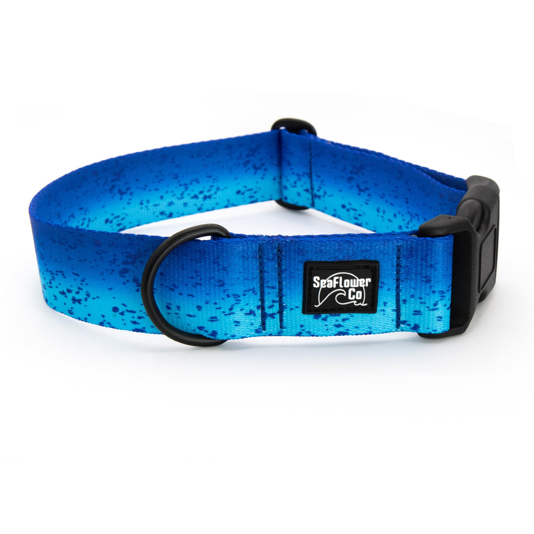  Blue Mahi Durable Dog Collar | SeaFlower Co