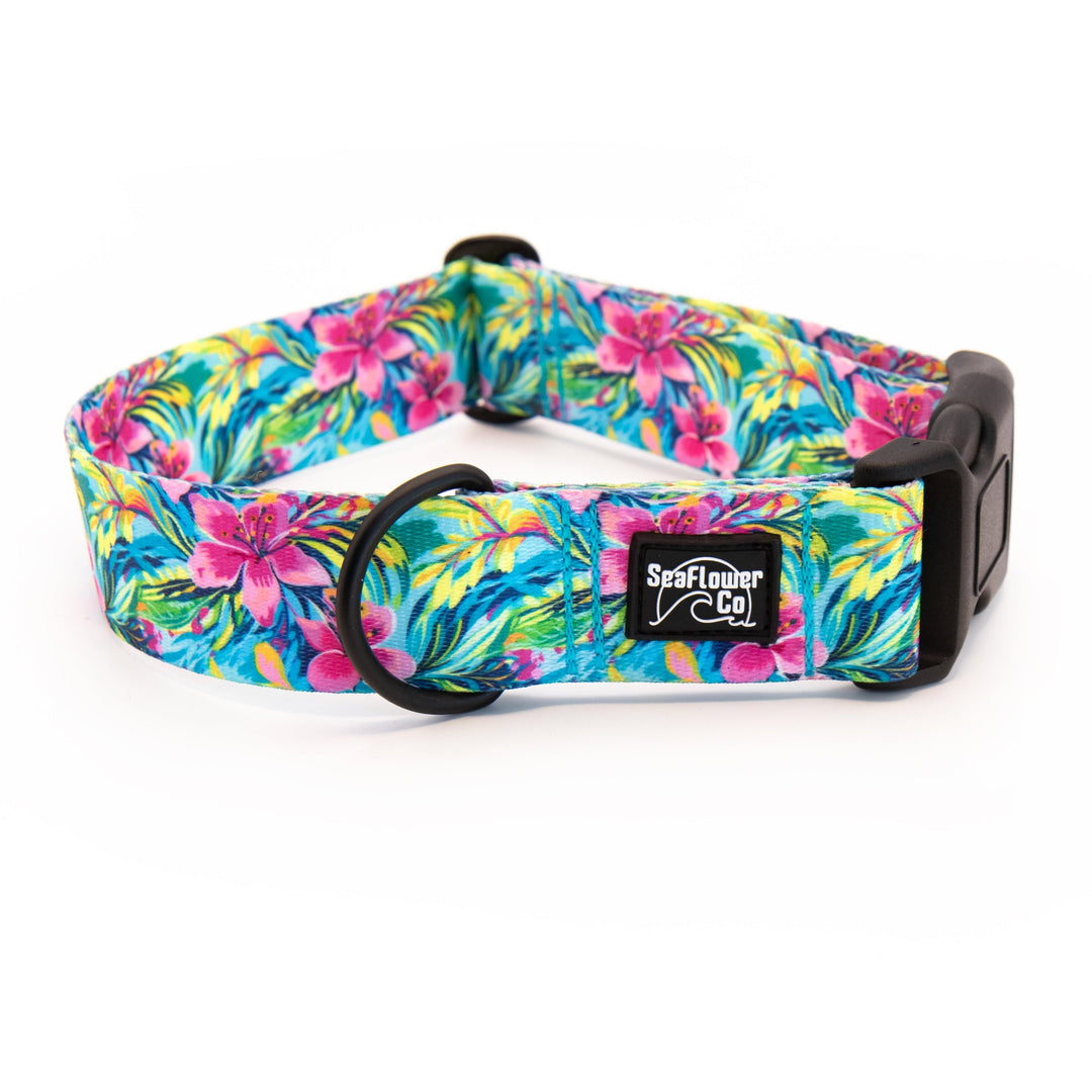 Colorful floral-patterned dog collar with a visible brand logo on a white background