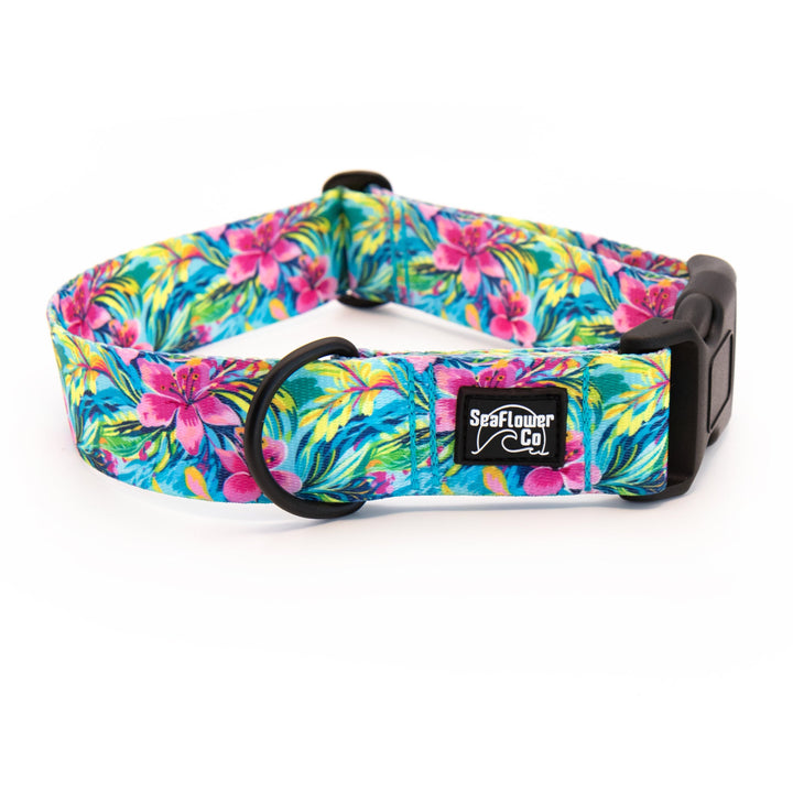Colorful floral-patterned dog collar with a visible brand logo on a white background