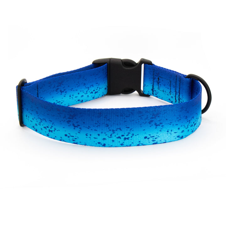 Blue Mahi Durable Dog Collar | SeaFlower Co