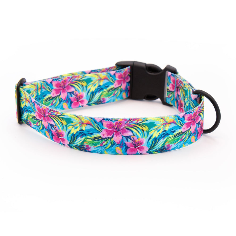 Colorful floral-patterned dog collar on a white background