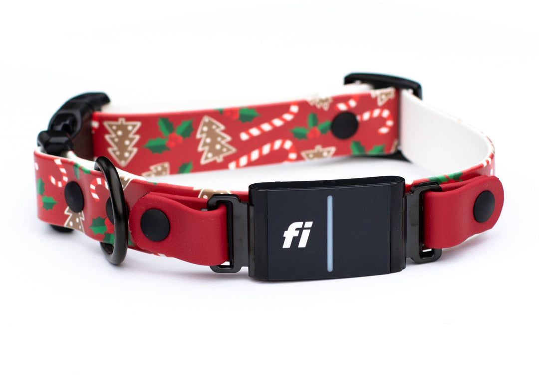 Christmas Fi Compatible 3/3+ BioThane Dog Collar With Quick Release Buckle