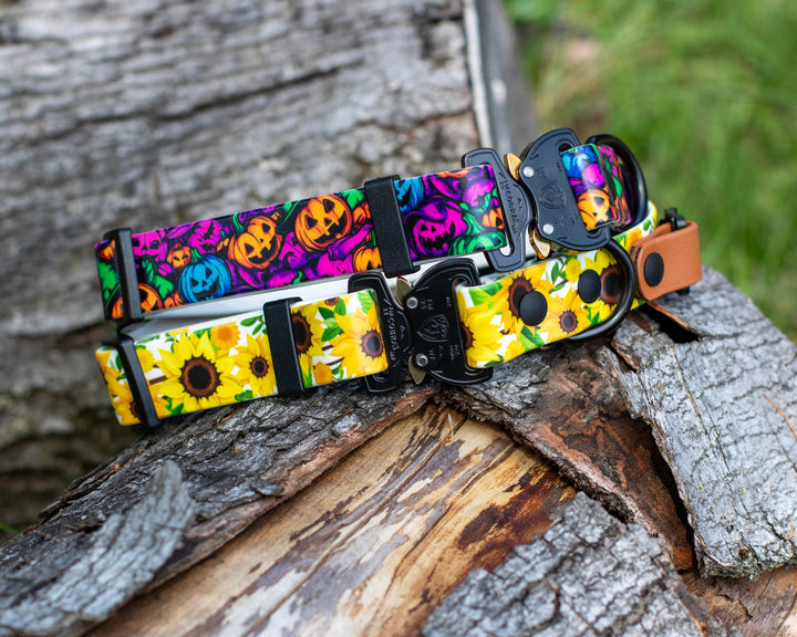 Fi Compatible 3/3+ collars with Halloween and sunflower designs on a white background
