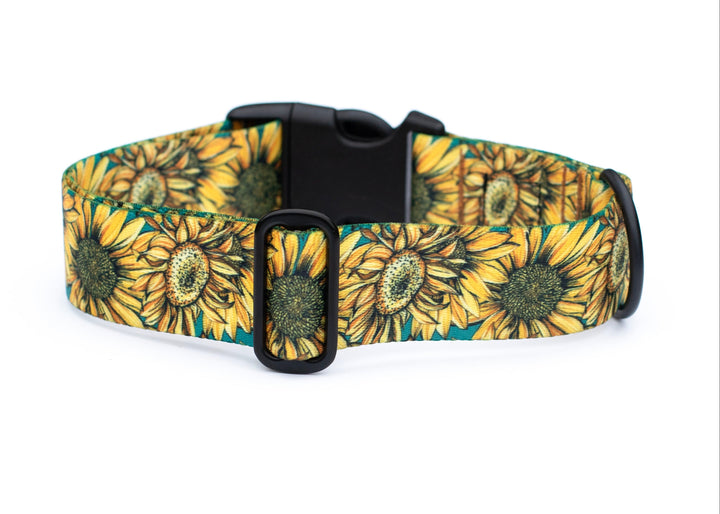 Dog collar with sunflower pattern on a white background