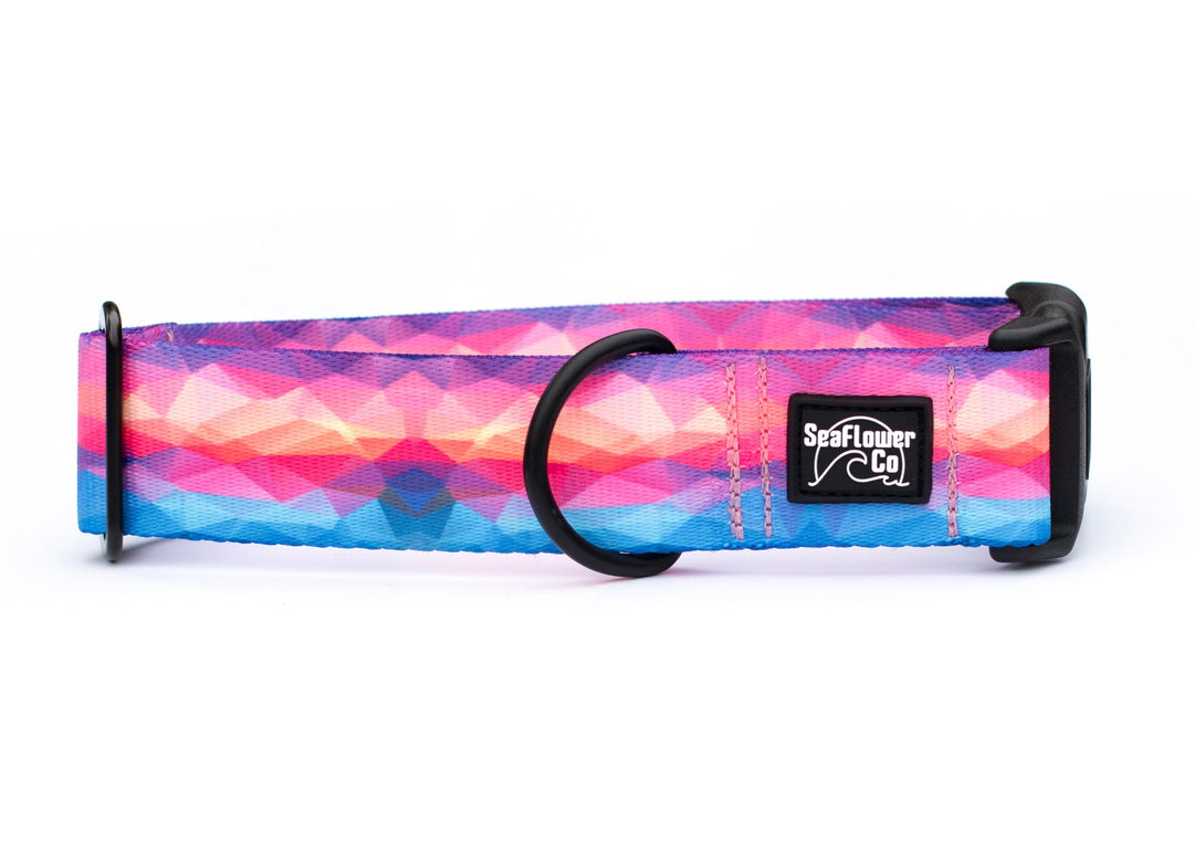 Multicolored geometric patterned dog collar with a brand label on a white background