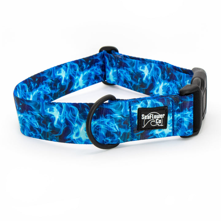 Blue flame patterned dog collar with a brand label on a white background