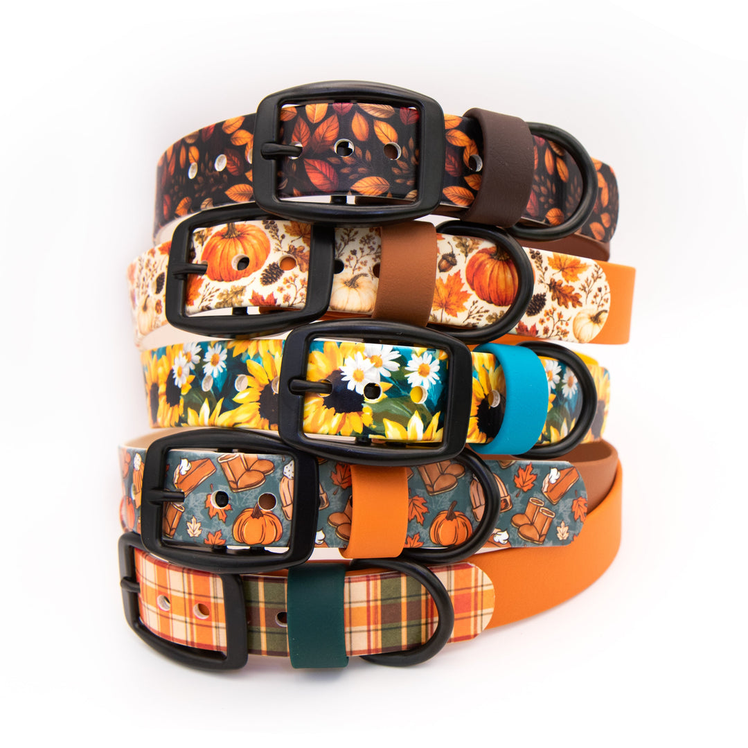 Five dog collars stacked vertically on a white background, featuring various autumn-themed patterns including pumpkins, sunflowers, leaves, and plaid, with black metal buckles.