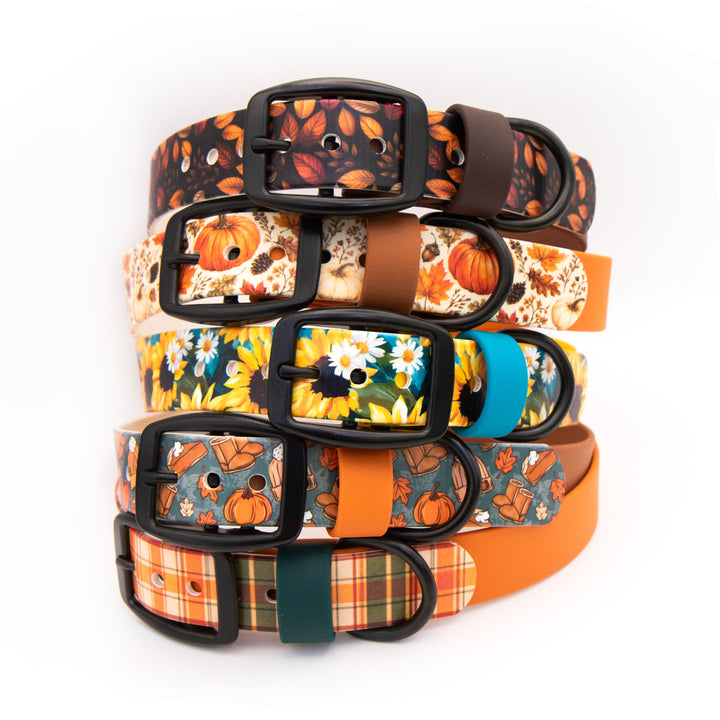 Five dog collars stacked vertically on a white background, featuring various autumn-themed patterns including pumpkins, sunflowers, leaves, and plaid, with black metal buckles.