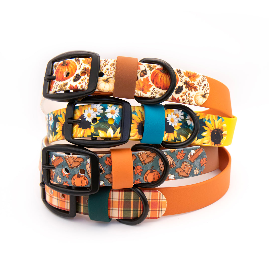 Four dog collars stacked vertically on a white background, each with a different autumn-themed pattern and color combination: orange pumpkin, white daisies on yellow, orange leaves on gray, and plaid in orange, green, and tan. All collars have black metal buckles and D-rings.