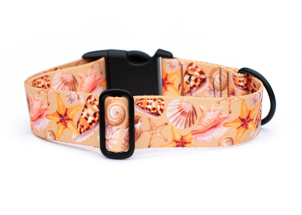 Dog collar with shell pattern on a white background