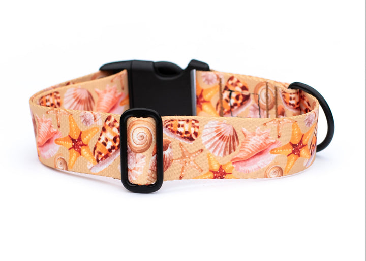 Dog collar with shell pattern on a white background