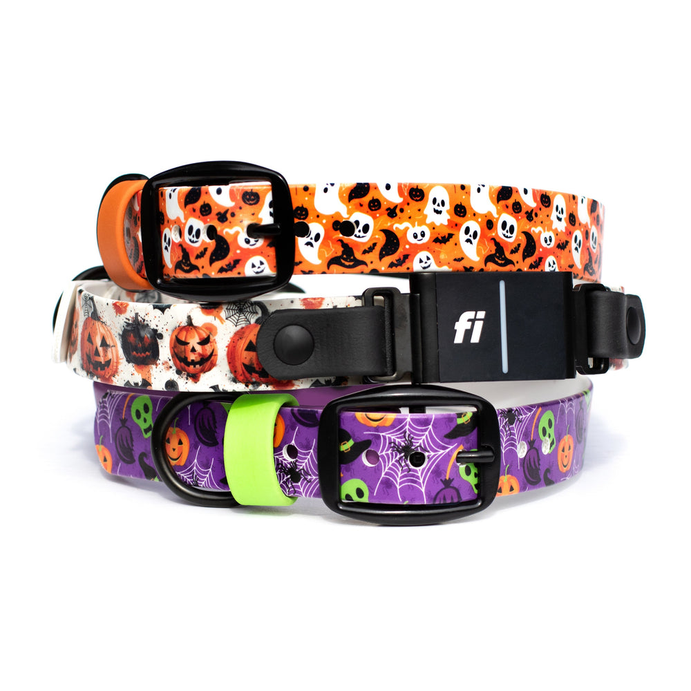 Fi Compatible 3/3+ Halloween Dog Collar | Waterproof Dog Gear