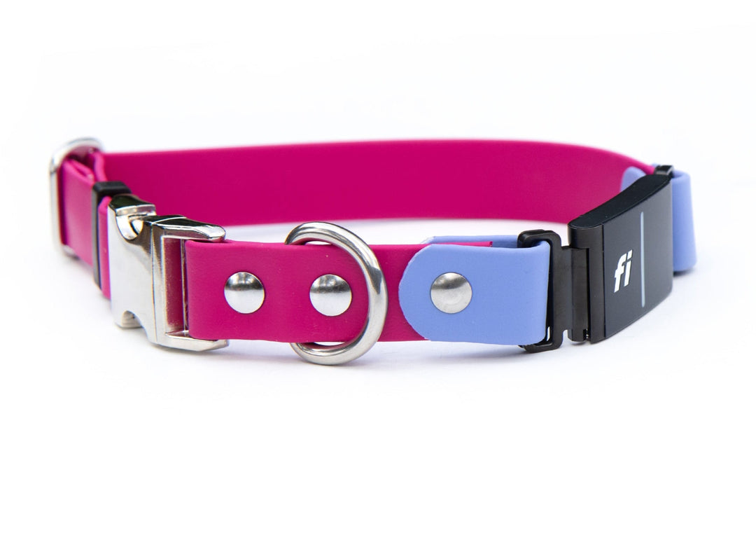 Fi Compatible Series 3/3+ BioThane Adjustable Dog Collar | SeaFlower Co