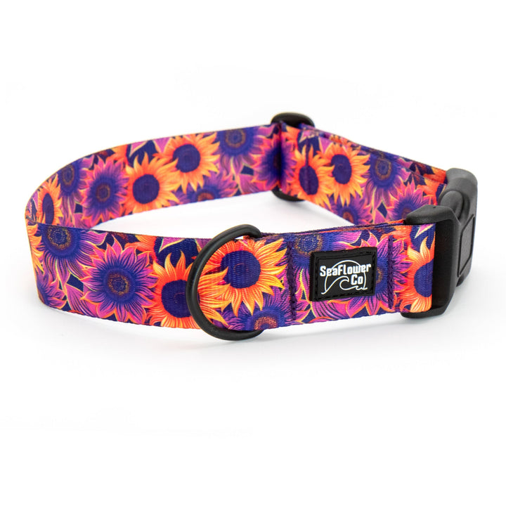 Purple Sunflower Dog Collar | Stylish &amp; Durable Floral Dog Gear