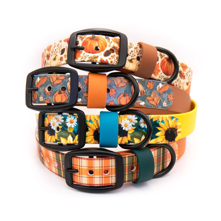 Four dog collars stacked vertically on a white background, each with a different autumn-themed pattern and a black buckle. The collars feature designs including pumpkins, flowers, sunflowers, plaid, and leaves.