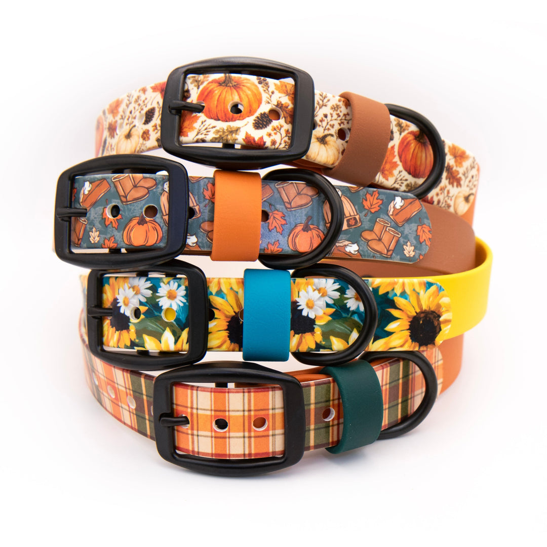 Four dog collars stacked together on a white background, each with a different autumn-themed pattern including pumpkins, flowers, sunflowers, and plaid, along with colorful buckles and keeper loops.