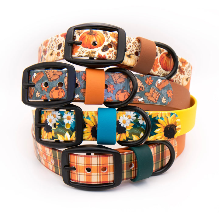 Four dog collars stacked together on a white background, each with a different autumn-themed pattern including pumpkins, flowers, sunflowers, and plaid, along with colorful buckles and keeper loops.