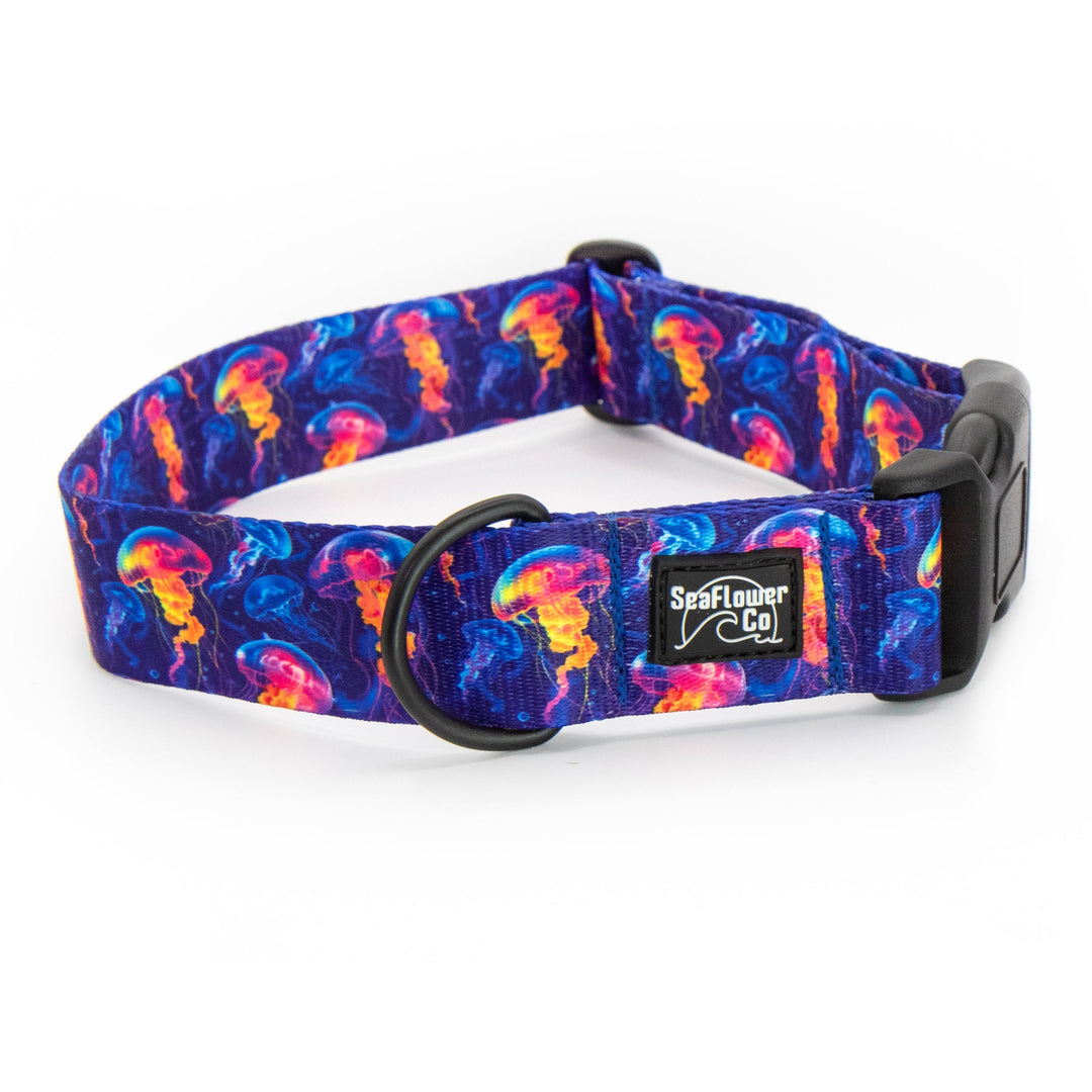 Dog collar with jellyfish pattern on a white background