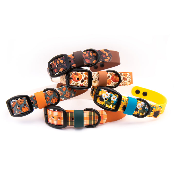 A set of five dog collars with autumn and Halloween-themed patterns, including pumpkins, sunflowers, plaid, and floral motifs, arranged on a clean white background.