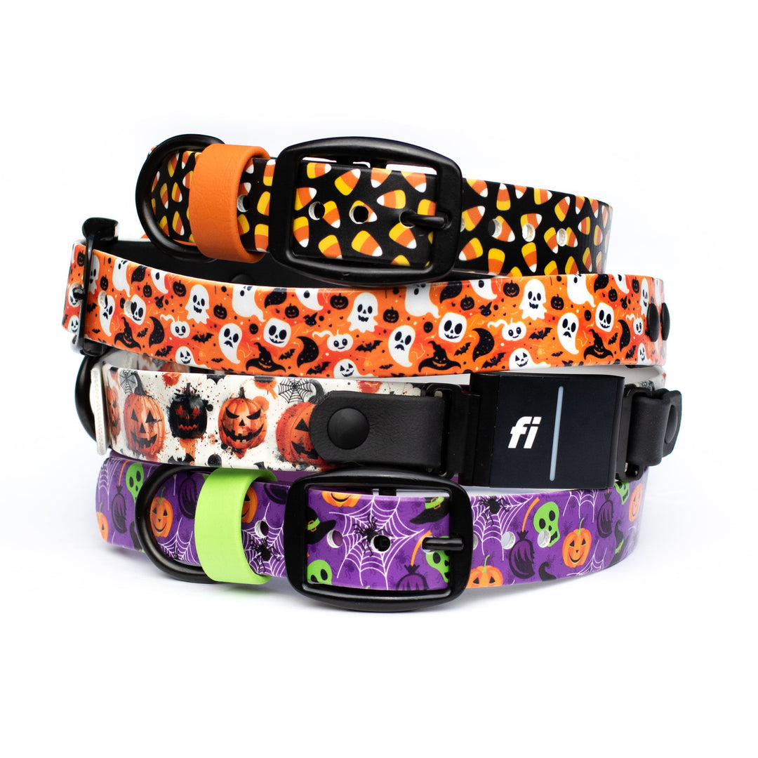 Fi Compatible 3/3+ Halloween Dog Collar | Waterproof Dog Gear