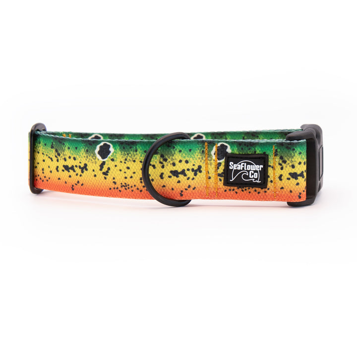 Peacock Bass Dog Collar | SeaFlower Co