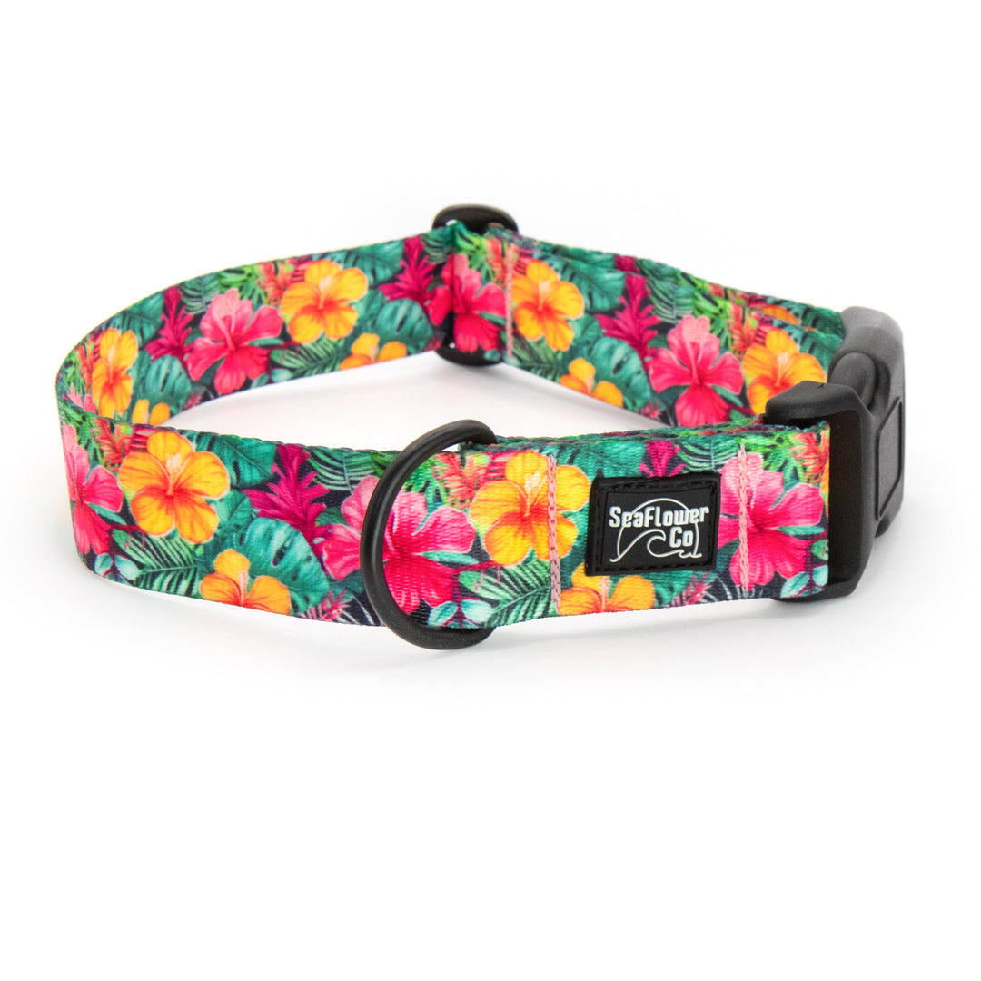 Hawaiian Floral Dog Collar | SeaFlower Co