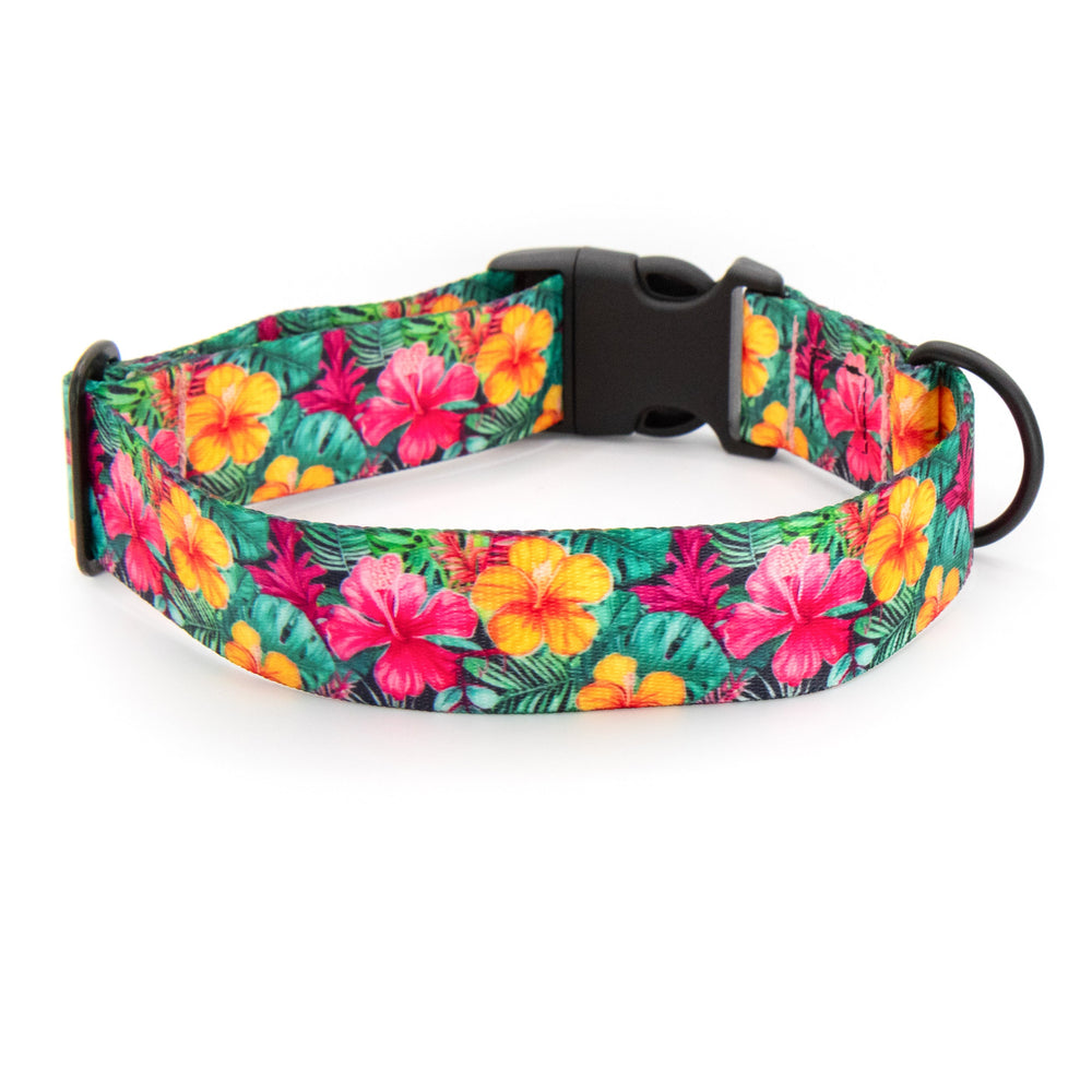 Hawaiian Floral Dog Collar | SeaFlower Co