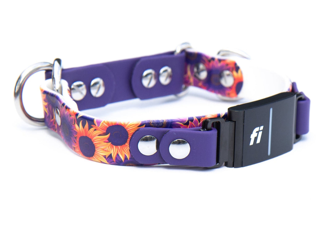 Fi Compatible Series 3/3+ BioThane Limited Slip Dog Collar | SeaFlower Co