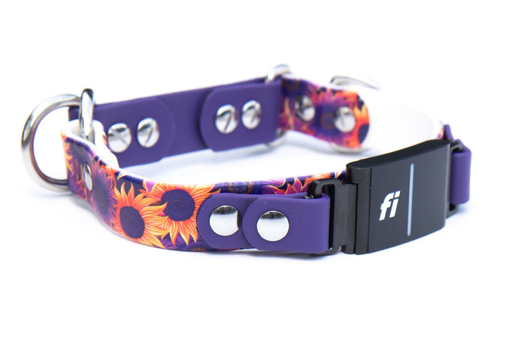 Fi Compatible Series 3/3+ BioThane Limited Slip Dog Collar | SeaFlower Co
