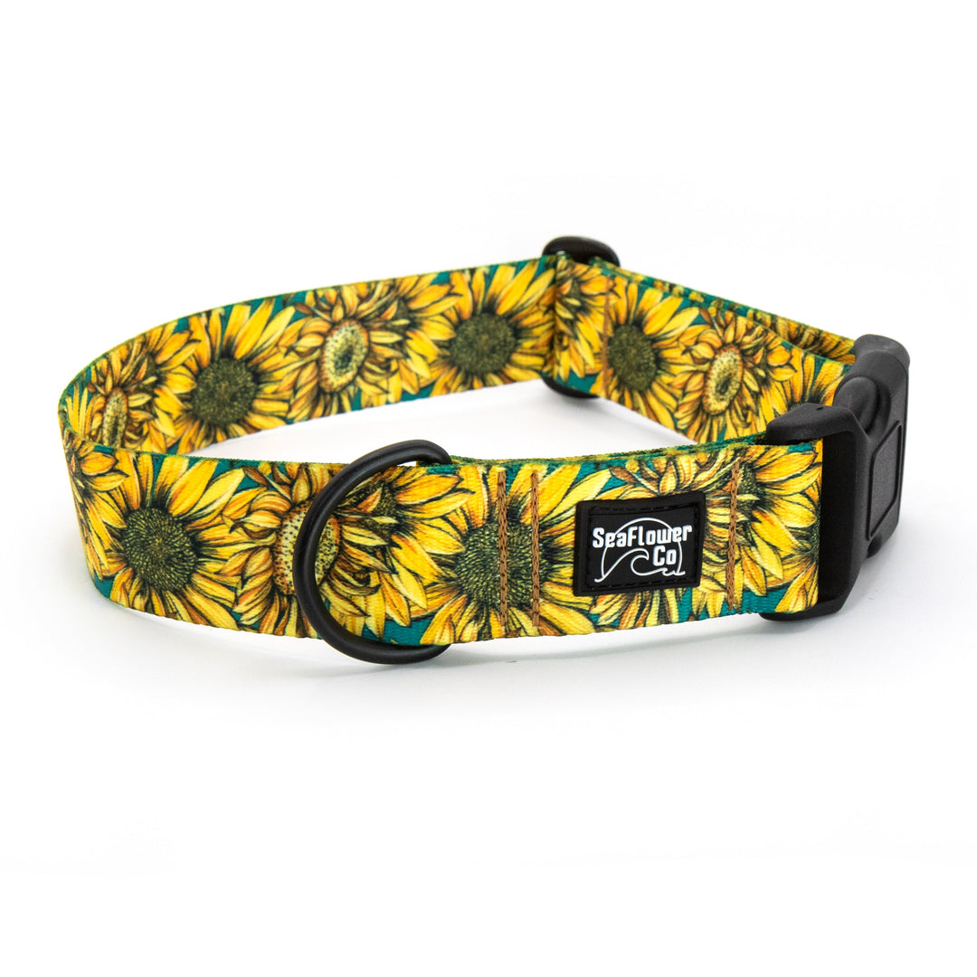 Dog collar with sunflower pattern on a white background